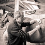 Soins cheval